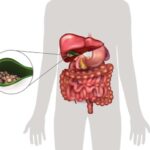 Resplice Institute FMT: Combining Expertise and Innovation for Better Health