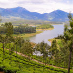 Where Nature Meets Comfort: Lake Symphony Resort and One Earth Panangad