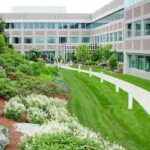 Why Commercial Landscaping Services Matter for Modern Businesses