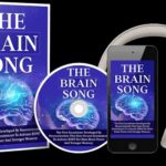 The Brain Song – Natural Audio Support for Focus and Mental Clarity