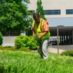 What to Look for When Hiring an HOA Landscape Maintenance Company