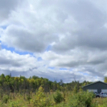 Brush Clearing: Expert Techniques for Safe, Efficient Vegetation Management