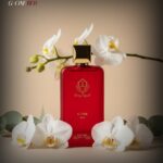 The Art of Fine Fragrance at Bellissimo Perfumes