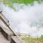 Why Dehumidifiers Alone Don’t Eliminate Silverfish