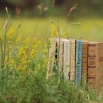 UK Publishing House: Where Stories Are Refined, Respected, and Shared
