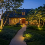 Enhance Outdoor Beauty with Professional Landscape Lighting