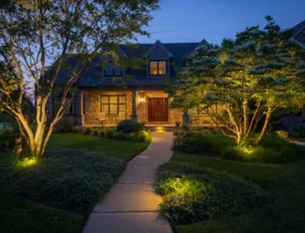 Enhance Outdoor Beauty with Professional Landscape Lighting