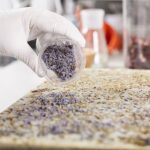 How to Scale Protein G Agarose Beads for Industry
