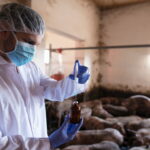 Importance of an Animal Feed Testing Laboratory for Livestock Nutrition