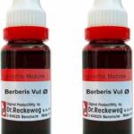 Berberis Vulgaris Q Uses in Hindi: A Comprehensive Guide