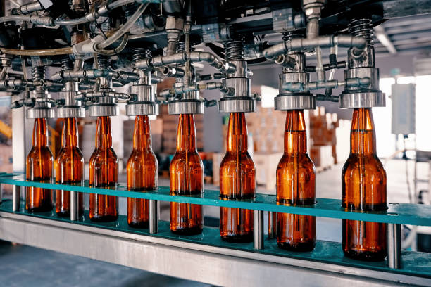What Are Product Development Services for Food Brands Today