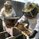 Creating Healthier Environments Through Responsible Pest Control