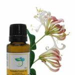 Why Choose Honeysuckle Absolute Oil Today