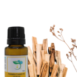 Top Benefits of Palo Santo Essential Oil Explained