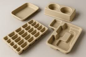 Molded Fiber For Food Packaging Market Growth and Future Outlook