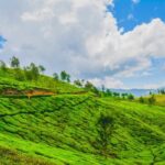 Gemini said Kerala India Holidays: God’s Own Country