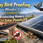 Why Bird Proofing in Menifee, CA Is Essential for Protecting Homes and Solar Panels