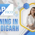Advance Your Finance Career with Professional SAP FICO Skills