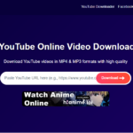 Downloading videos quickly with an online converter