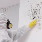 Why Mold Remediation Specialists Are Necessary?