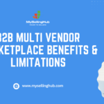 B2B Multi Vendor Marketplace Benefits & Limitations