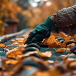 Concrete Cleaning Science: How Organic Growth Bonds to Cement