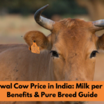 Top 10 Cow Breeds in India Every Farmer Should Know for Higher Milk Yield & Profit
