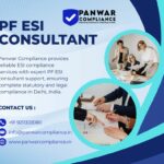How a PF ESI Consultant Helps Avoid Legal Penalties and Notices