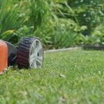 Lawn Mowing Maroubra – Reliable Garden Care by Mitch’s Mowing