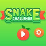 Getting the Most Out of Snake Game