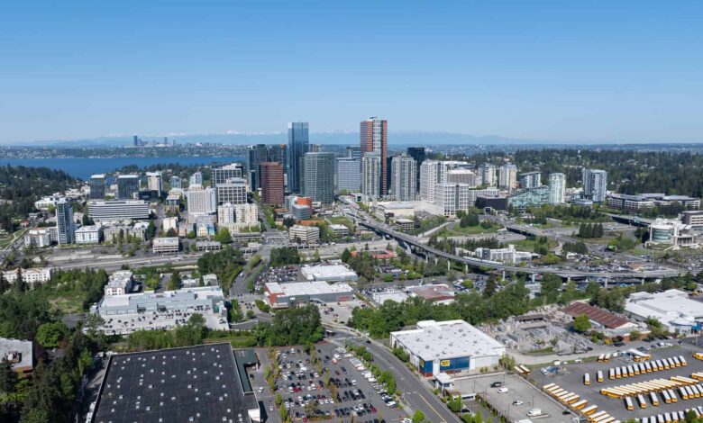 Junk Removal Bellevue for Efficient Property Cleanouts