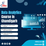Build a Future-Ready Career with Data Skills in Chandigarh