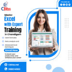 Build a Career with Data Analysis & ERP Skills
