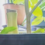 Beyond the Pot: Creative and Advanced Uses for Watering Globes