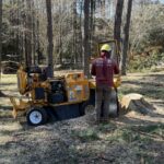 Keep Your Trees Healthy & Beautiful: Expert Pruning and Large Tree Trimming Solutions