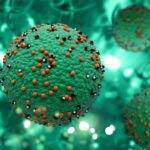How Immunoassays Improve Accuracy in Diagnostic Testing