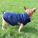From Walks to Cuddles: Must-Have Dog Fleece Pullovers