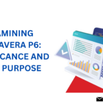 Driving Project Excellence with Oracle Primavera P6
