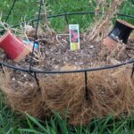 Beyond the Pot: Creative and Advanced Uses for Watering Globes