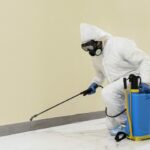 Affordable & Effective: Discover the Best Houston Pest Control Service Without Breaking the Bank