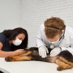 Finding a Trusted 24/7 Pet Clinic in Dubai for Your Pet