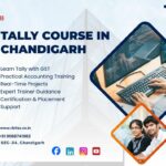Build a Successful Accounting Career with Practical Financial Skills