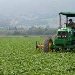 Agricultural Consulting Company USA: Expert Guidance for Smarter, Sustainable Farming