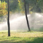 Elevate Your Outdoor Living with a Trusted Residential Landscape Contractor & Expert Drip Irrigation Installation