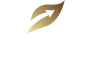 Understanding Testosterone Replacement Therapy & Best TRT Clinic UK for Safe Testosterone Therapy