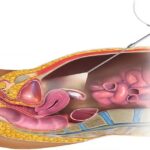 Hysteroscopy: Why More Women Are Choosing a Modern Uterine Health Solution