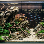 Large Aquarium Rocks: A Simple Way to Transform Your Fish Tank