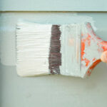 Professional Interior Painting Services in NZ