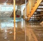 Basement Flooding: Prevention, Immediate Steps, and Long-Term Solutions