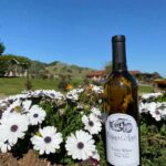 Kirigin Cellars: Premier Winery in Gilroy for Wine Tasting Experiences